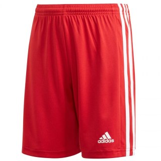 Spodenki adidas Squadra 21 Short Youth Jr GN5761