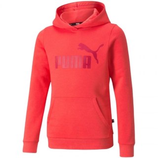 Bluza Puma ESS Logo Hoodie FL Jr 587031 35