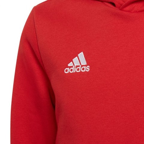 Bluza adidas Entrada 22 Hoody Jr H57566