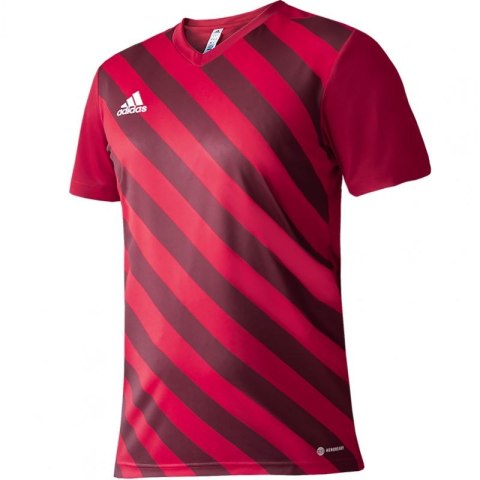 Koszulka adidas Entrada 22 Graphic Jersey Jr H58983