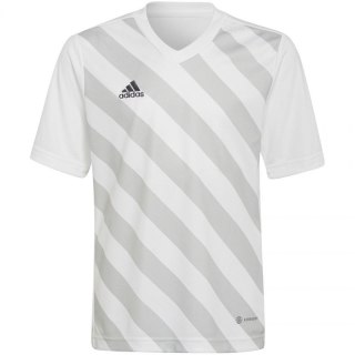 Koszulka adidas Entrada 22 Graphic Jersey Jr HF0120