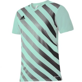 Koszulka adidas Entrada 22 Graphic Jersey Jr HF0127