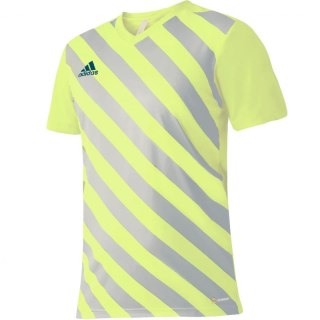 Koszulka adidas Entrada 22 Graphic Jersey Jr HF0133