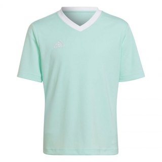 Koszulka adidas Entrada 22 Jersey Jr HC5078