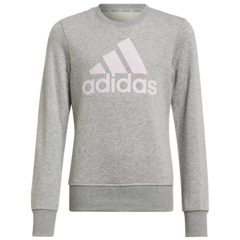 Bluza adidas Big Logo Swt Jr HM8706