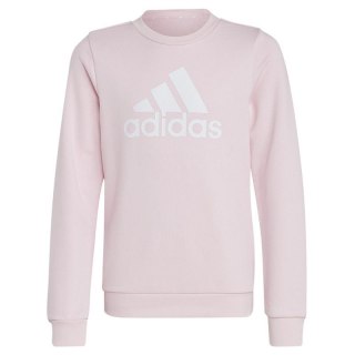 Bluza adidas Big Logo Swt Jr IC6119