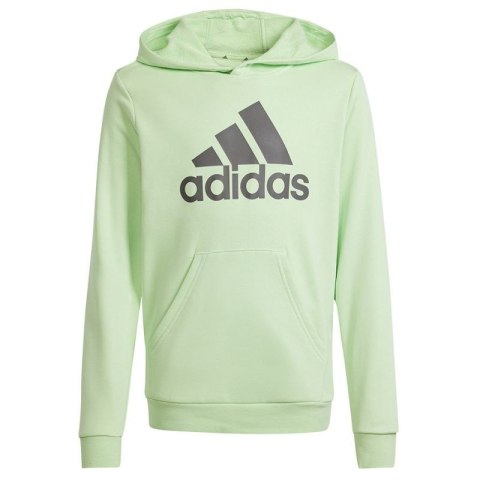 Bluza adidas Big Logo Hoodie Jr IS2591