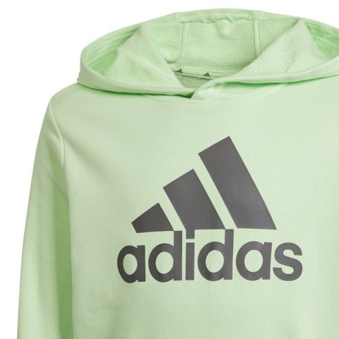 Bluza adidas Big Logo Hoodie Jr IS2591