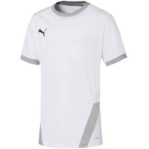 Koszulka Puma teamGOAL 23 Jersey Jr 704160 04