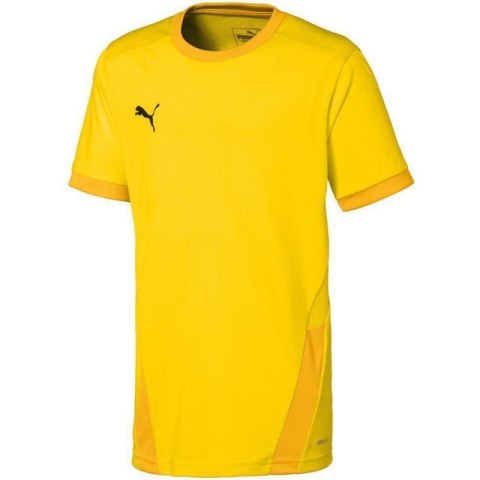 Koszulka Puma teamGOAL 23 Jersey Jr 704160 07