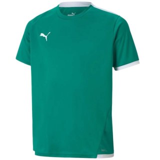 Koszulka Puma teamLIGA Jersey Jr 704925 05