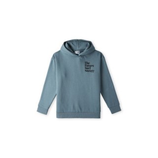 Bluza O'Neill Future Surf Society Hoodie Jr 92800614974