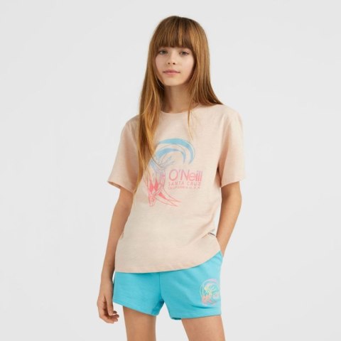 Koszulka O'Neill Circle Surfer T-Shirt Jr 92800546141