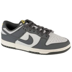 Nike Buty Sportowe Dunk Low NN Szary FZ4621-001